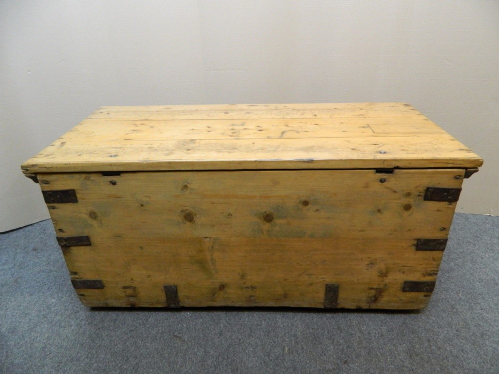large pine trunk View V