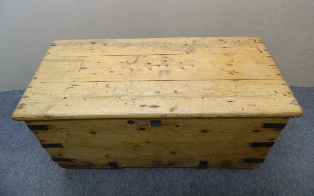 large pine trunk View VI