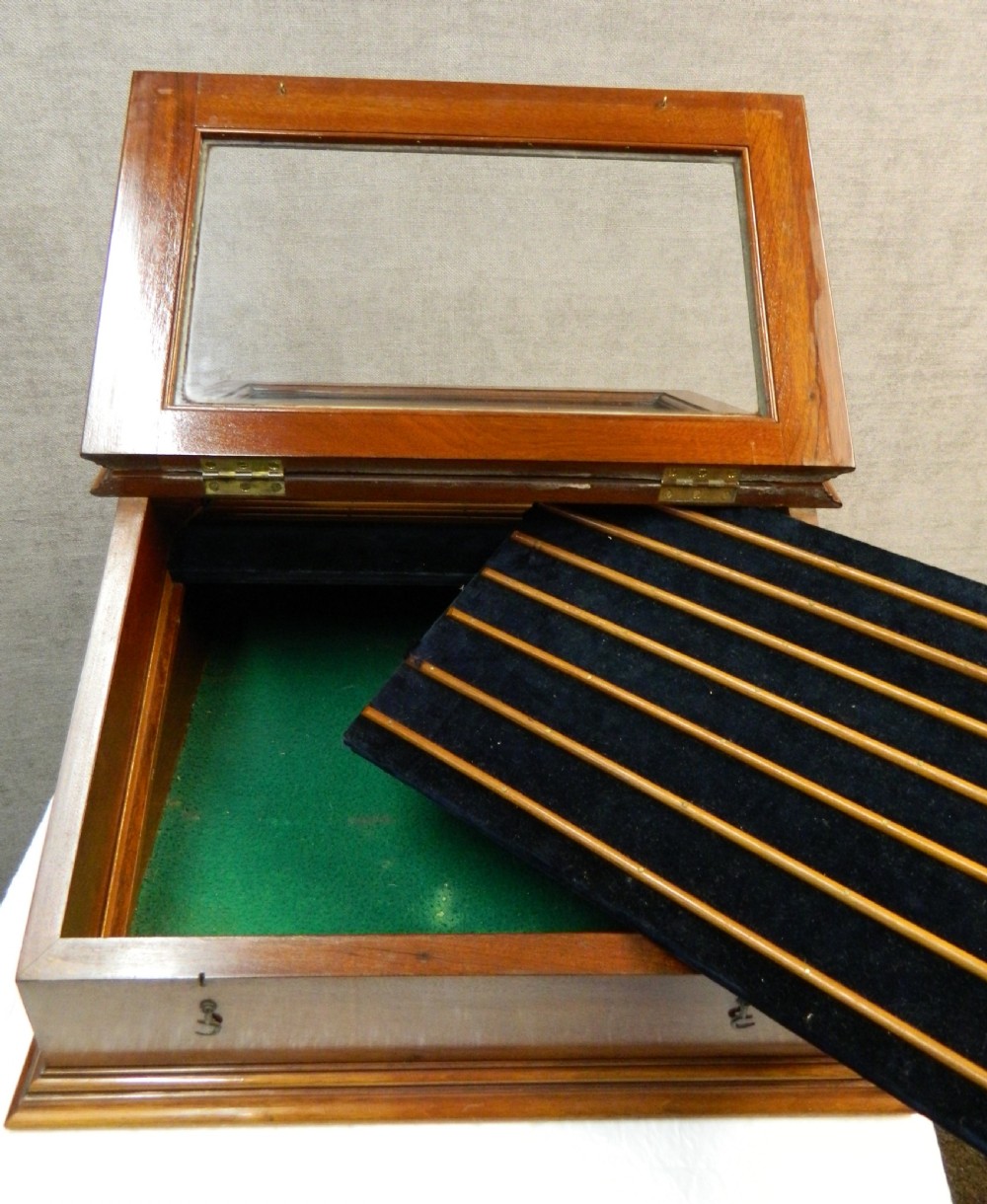 mahogany display case View III