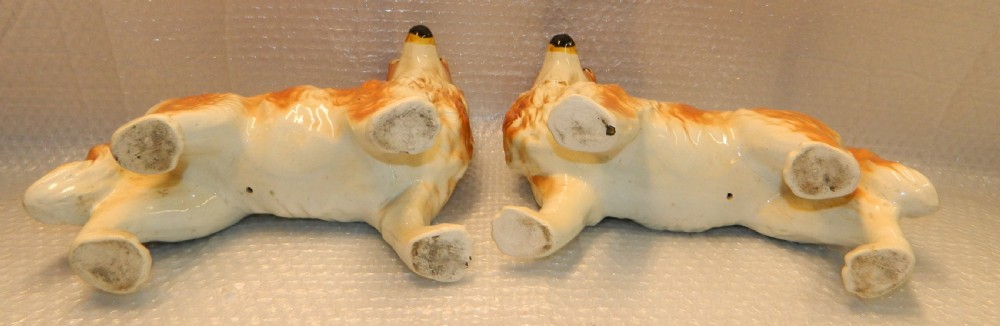 Pair of Staffordshire collie dogs View IV