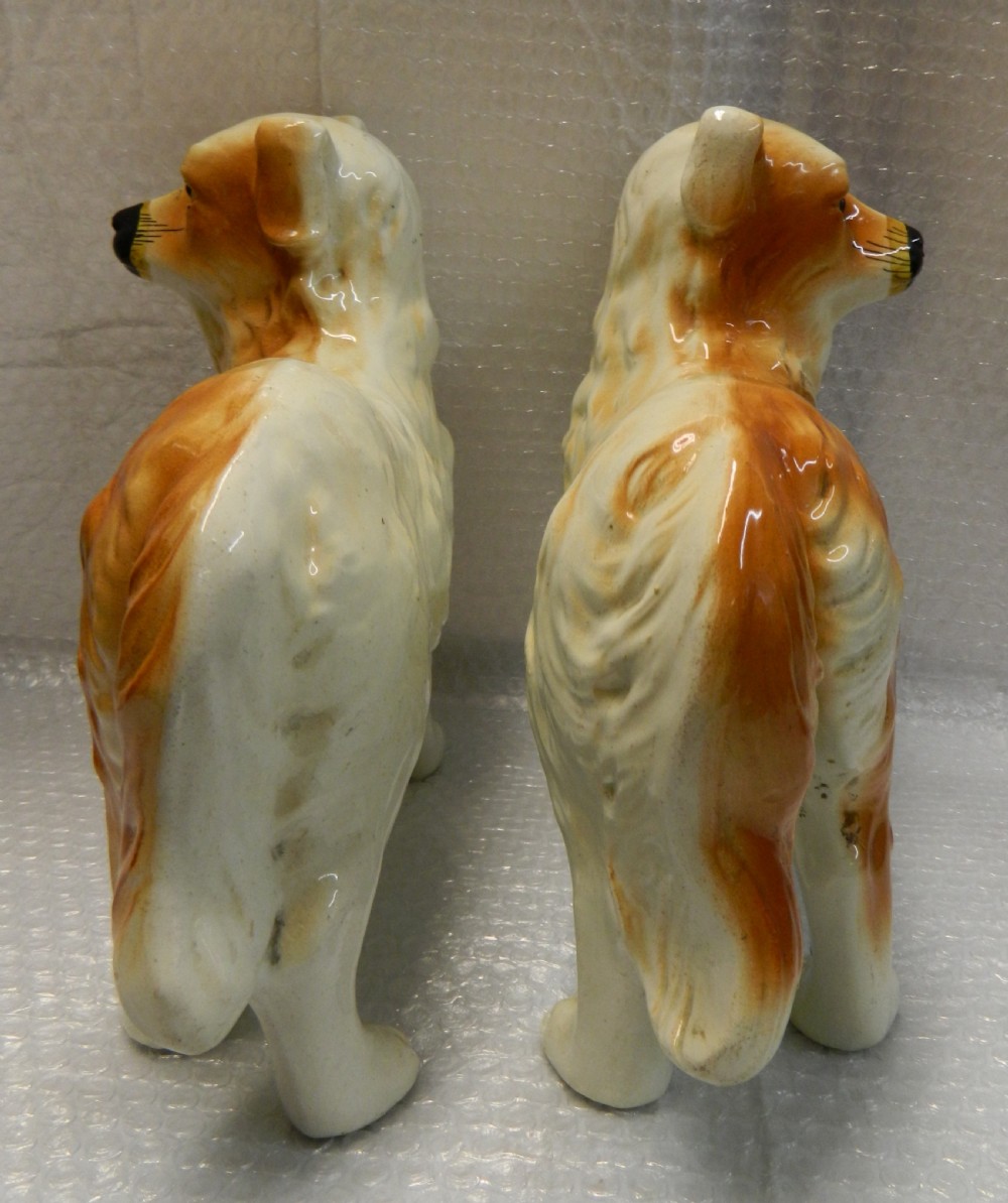 Pair of Staffordshire collie dogs View VI