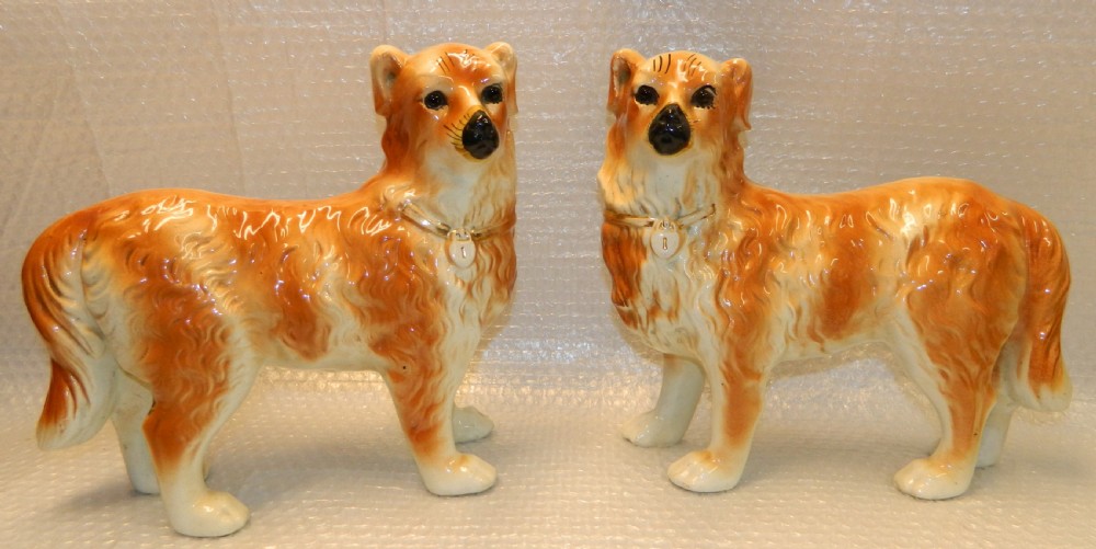 Pair of Staffordshire collie dogs View VII