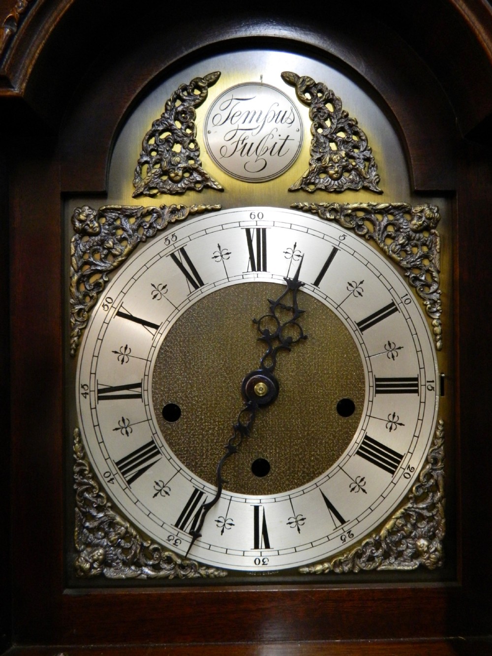 fine quality small grandfather clock - Elliots of Croydon View IV