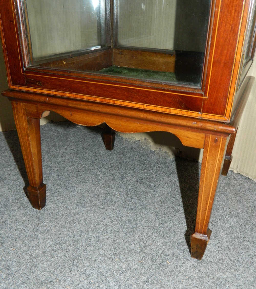 Inlaid mahogany display cabinet View IV