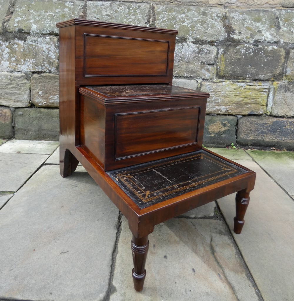 Regency library steps / bed steps View II
