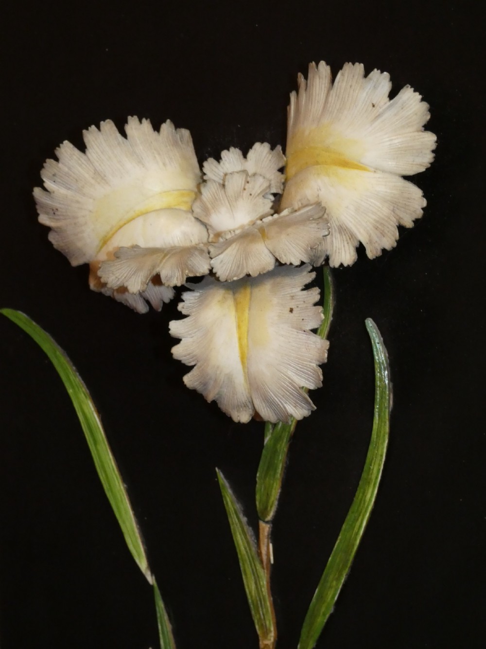 A pair of rectangular Japanese Meiji period black lacquer wall panels featuring high-relief botanical carvings of an iris and a lily within carved wooden frames. View VI