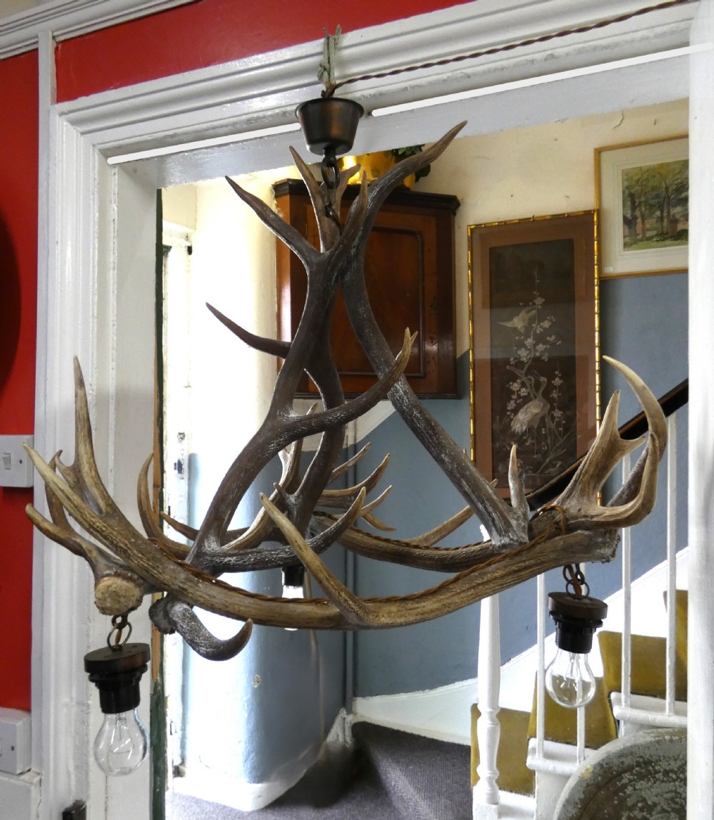 Antler chandelier View II
