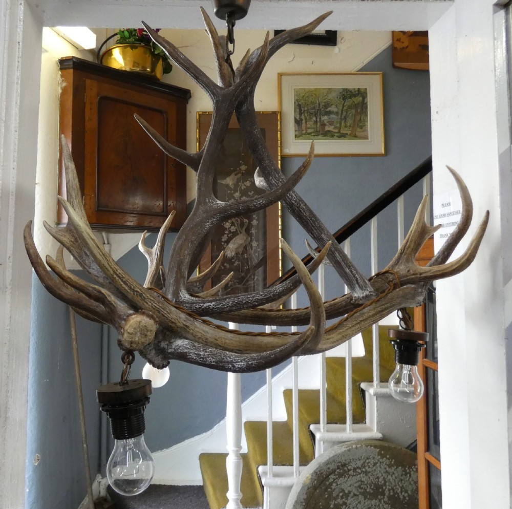 Antler chandelier View IV