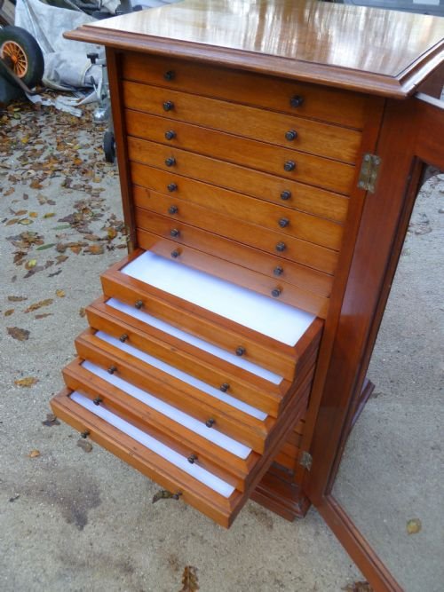 fig 2. VICTORIAN MAHOGANY COLLECTORS CABINET