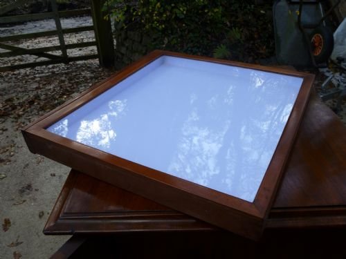fig 3. VICTORIAN MAHOGANY COLLECTORS CABINET