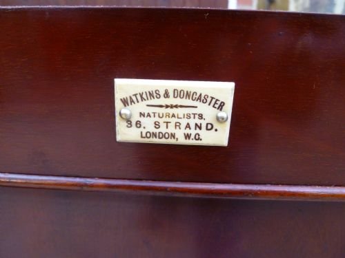 fig 4. ANTIQUE MAHOGANY COLLECTORS CABINET