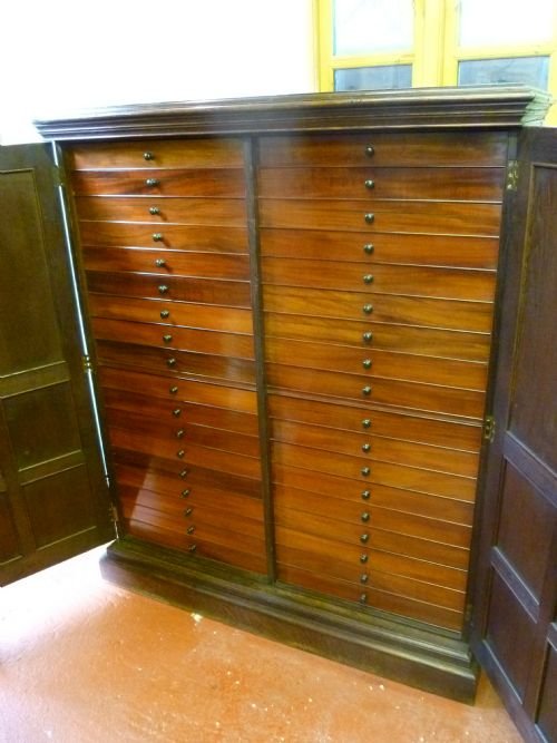 fig 1. 36 DRAWER COLLECTORS CABINET
