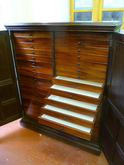 fig 3. 36 DRAWER COLLECTORS CABINET