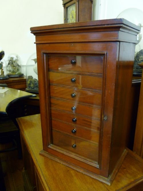 Antique Collectors or Curio Cabinet