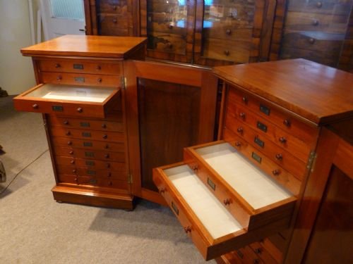 fig 3. A pair of antique mahogany collectors cabinets featuring numerous shallow drawers with turned wooden knobs, brass label holders, and hinged side doors.