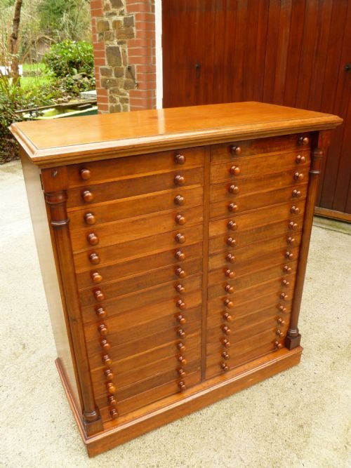 fig 1. FINE VICTORIAN, SOLID MAHOGANY, 30 DRAWER COLLECTORS CABINET BY T.COOKE & SON, 30 MUSEUM ST, LONDON.