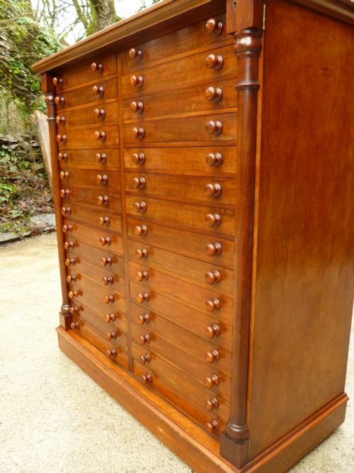 fig 3. FINE VICTORIAN, SOLID MAHOGANY, 30 DRAWER COLLECTORS CABINET BY T.COOKE & SON, 30 MUSEUM ST, LONDON.