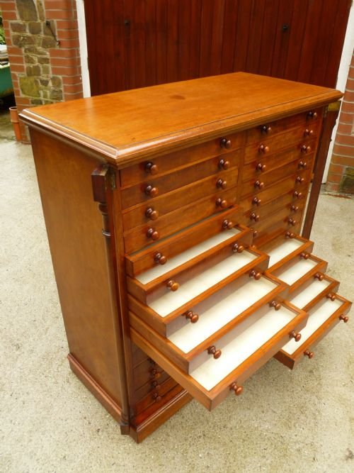 fig 4. FINE VICTORIAN, SOLID MAHOGANY, 30 DRAWER COLLECTORS CABINET BY T.COOKE & SON, 30 MUSEUM ST, LONDON.
