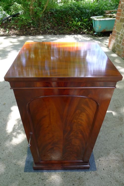 fig 2. A SUPERB MID VICTORIAN MAHOGANY COLLECTORS CABINET
