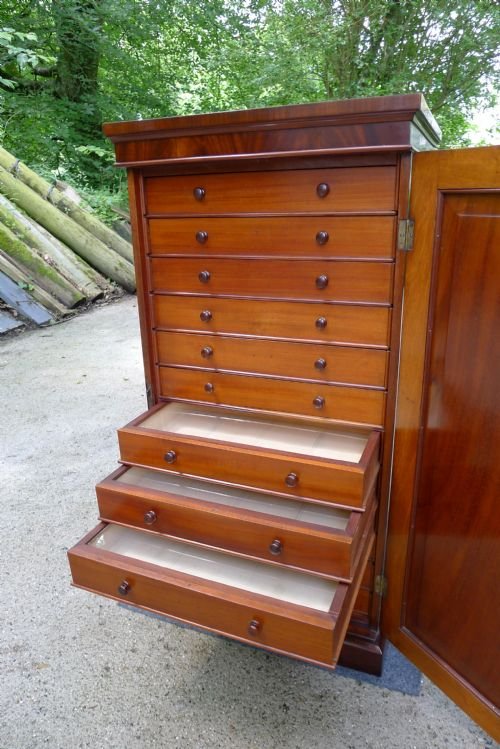 fig 3. A SUPERB MID VICTORIAN MAHOGANY COLLECTORS CABINET