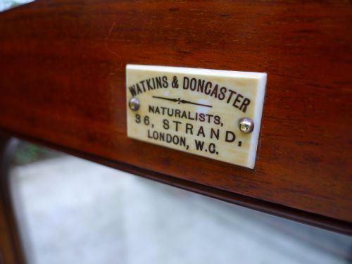 fig 2. A CLASSIC VICTORIAN 20 DRAWER COLLECTORS CABINET BY WATKINS AND DONCASTER OF THE STRAND LONDON