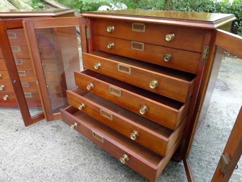 fig 1. A FINE PAIR OF LATE 19TH CENTURY COLLECTORS CABINETS WITH FULL PROVENANCE. MADE BY THE LATE EDWIN TULLEY NEWTON FGS. FZS. BASED AT THE GEOLOGICAL MUSEUM, JERMYN STREET, LONDON W. 1890.