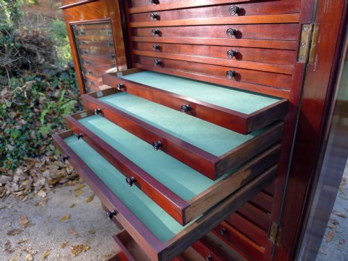 fig 3. A VERY FINE VICTORIAN, 36 GRADUATED DRAWER, MAHOGANY COLLECTORS CABINET.