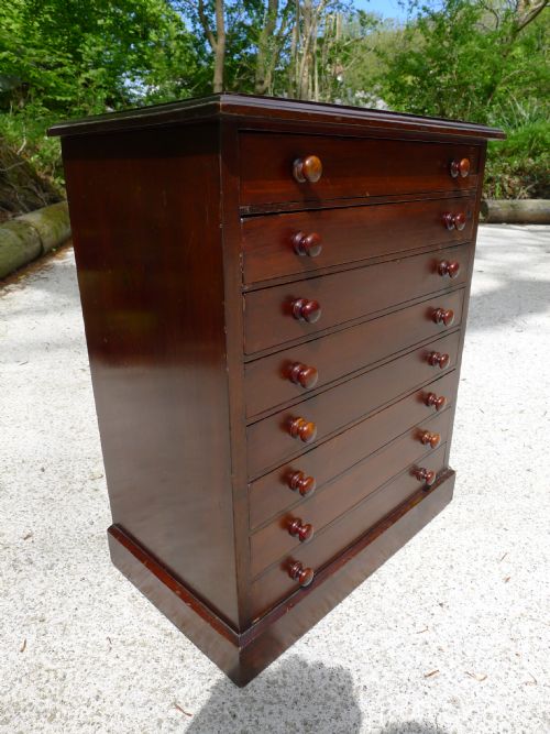 A Good and Small 8 Drawer Victorian Satin Walnut Collectors Cabinet Circa 1890