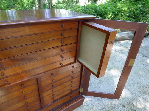 fig 6. A FINE VICTORIAN MAHOGANY 21 DRAWER COLLECTORS CABINET CIRCA 1870