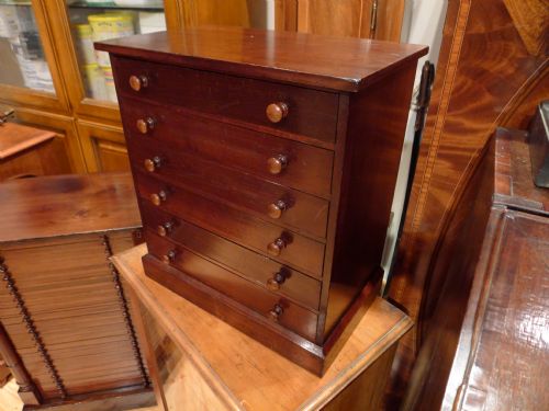 A Good Edwardian 6 Drawer Satin Walnut Collectors Cabinet Circa 1900.