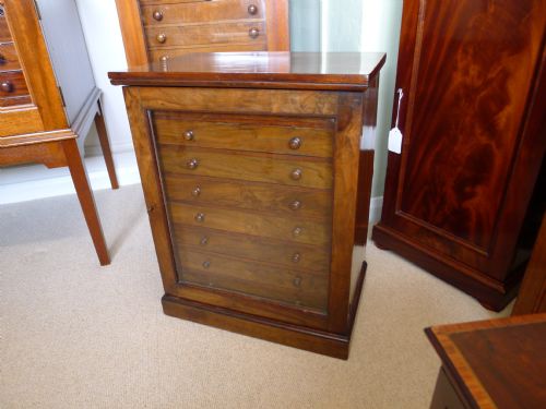 A Good English Figured Walnut 8 Drawer Collectors Cabinet.