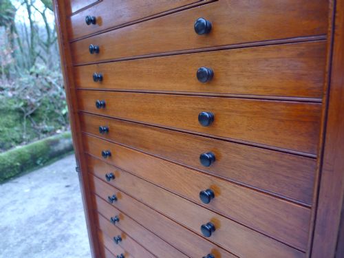 fig 4. A MAGNIFICENT AND RARE 20 DRAWER COLLECTORS CABINET BY THOMAS GURNEY CIRCA 1880.