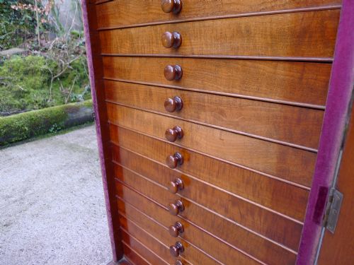 fig 4. A SOLID MAHOGANY 16 DRAWER COLLECTORS CABINET BY LEONARD TATCHELL CIRCA 1880