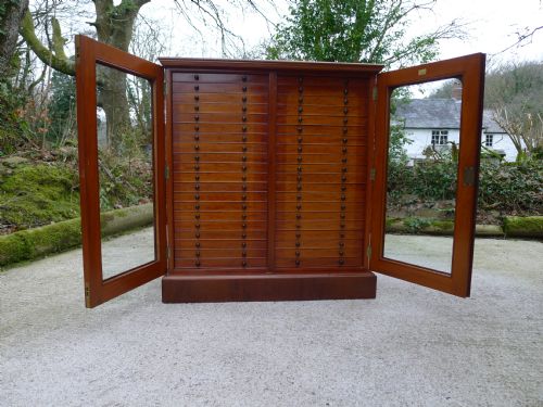 fig 2. FOR THE CONNOISSEUR, THE ULTIMATE 40 DRAWER COLLECTORS CABINET BY THOMAS GURNEY. CIRCA 1880.