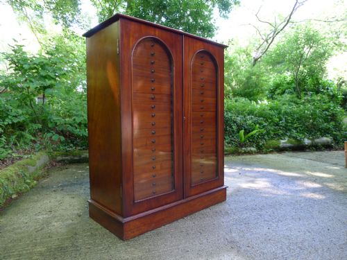 A Superb 40 Drawer, Victorian Mahogany Collectors Cabinet Circa 1880