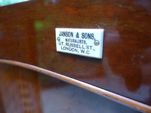 fig 2. A 20 DRAWER MAHOGANY COLLECTORS CABINET FOR THE CONNOISSEUR CIRCA 1900.
