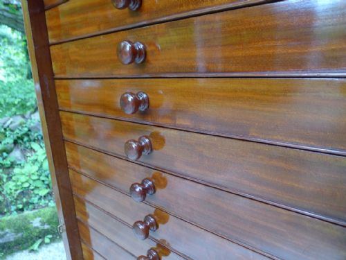 fig 3. A 20 DRAWER MAHOGANY COLLECTORS CABINET FOR THE CONNOISSEUR CIRCA 1900.