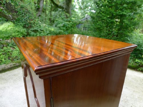 fig 3. A FINE 20 DRAWER VICTORIAN MAHOGANY COLLECTORS CABINET BY J.T.CROCKETT AND SONS CIRCA 1890