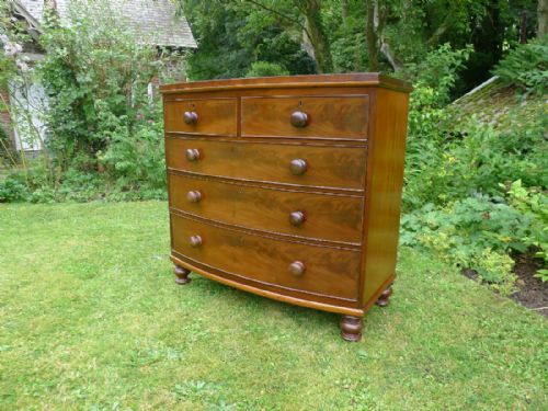 A Good Victorian Bow Front Mahogany Chest of Drawers