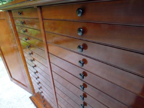 fig 2. A BEAUTIFUL VICTORIAN 32 DRAWER MAHOGANY COLLECTORS CABINET CIRCA 1880