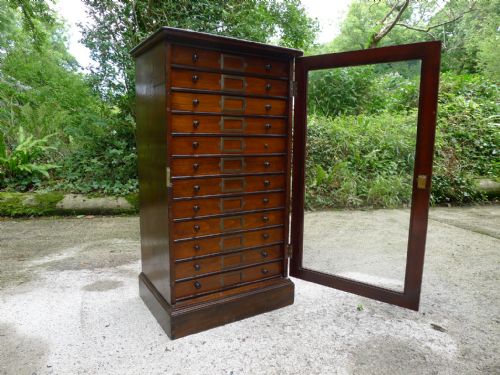 A 12 Drawer Collectors Cabinet in Stained and Polished Deal by Gardner of Oxford Street. London. Circa 1890.