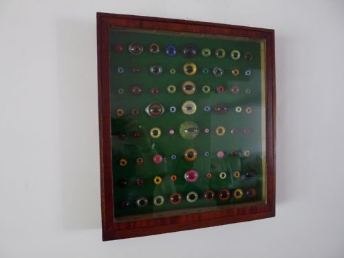 An Antique Wall Case Containing a Display of 72 Victorian Taxidermy Glass Eyes