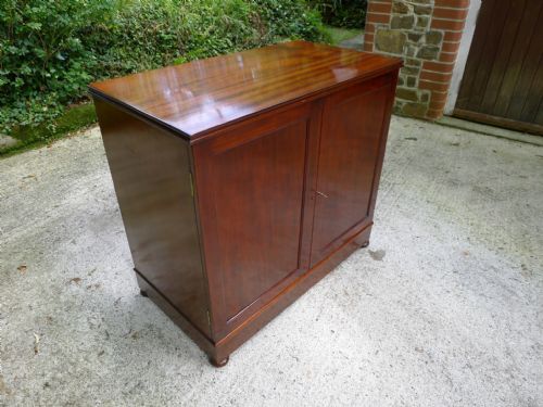 fig 2. A FINE SOLID MAHOGANY 24 DRAWER COLLECTORS SPECIMEN CABINET IN BEAUTIFUL CONDITION. CIRCA 1870