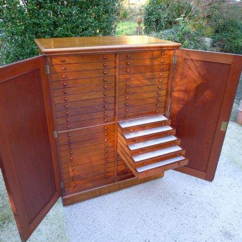 A Very Fine Brady 40 Drawer Solid Mahogany Collectors Cabinet Circa 1890