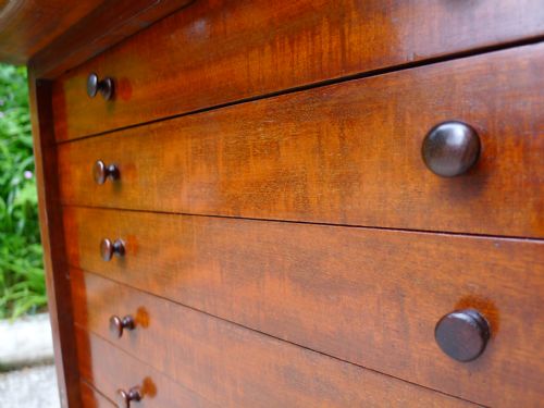 fig 2. A BEAUTIFUL VICTORIAN MAHOGANY COLLECTORS CABINET CIRCA 1870.