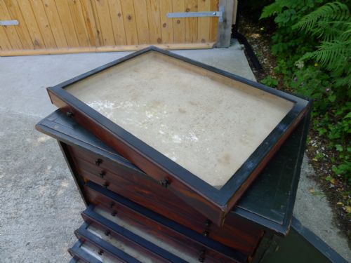 AN EXCELLENT ORIGINAL PAINTED 12 DRAWER COLLECTORS CABINET CIRCA 1870 - ADDITIONAL PHOTO 9