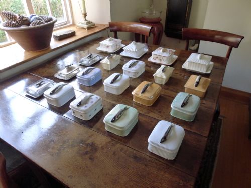 A Cornish Collection of 19 Victorian and Early 20th Century Sardine Dishes.
