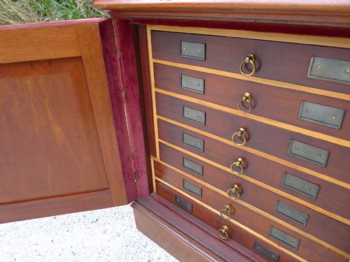 A SUPERB 'TYPE' SPECIMEN COLLECTORS CABINET IN MAHOGANY AND SATIN WOOD CIRCA 1870 - ADDITIONAL PHOTO 10