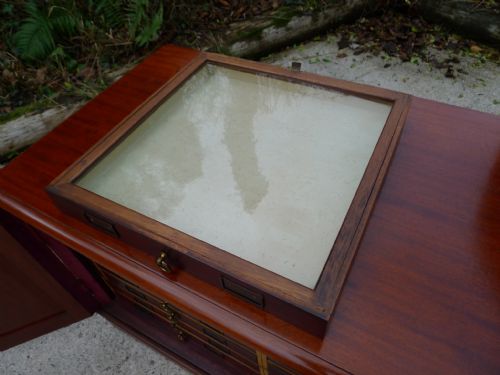 A SUPERB 'TYPE' SPECIMEN COLLECTORS CABINET IN MAHOGANY AND SATIN WOOD CIRCA 1870 - ADDITIONAL PHOTO 11