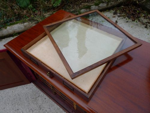 A SUPERB 'TYPE' SPECIMEN COLLECTORS CABINET IN MAHOGANY AND SATIN WOOD CIRCA 1870 - ADDITIONAL PHOTO 12